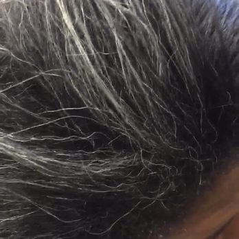 My 2 Golden Hands - My gray that needed to be colored. - Hair Stylists Near Me - Houston, Texas My 2 Golden Hands - My gray that needed to be colored. - Hair Stylists Near Me - Houston, Texas