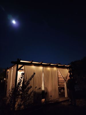 Farm & Table by null