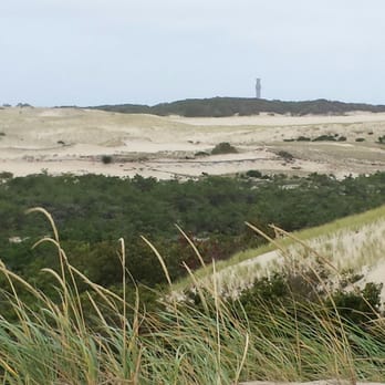 Art's Dune Tours - Dunes - Tours Near Me - Provincetown, Massachusetts