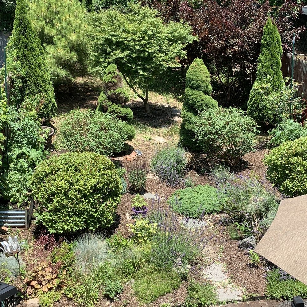 a bed - stuy garden