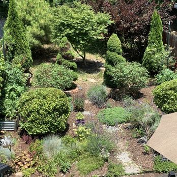 Bed-Stuy Garden Guy - a bed - stuy garden - Tree Services Near Me