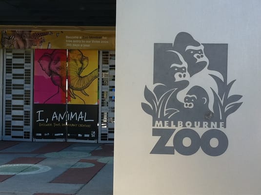 Melbourne Zoo by null