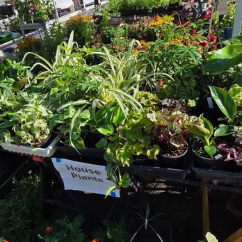 Rudy's Garden - Nurseries & Gardening Near Me - Salem, Oregon Rudy's Garden - Nurseries & Gardening Near Me - Salem, Oregon