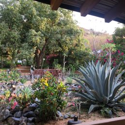 The stunning cactus garden you can see from the dining room. The stunning cactus garden you can see from the dining room.