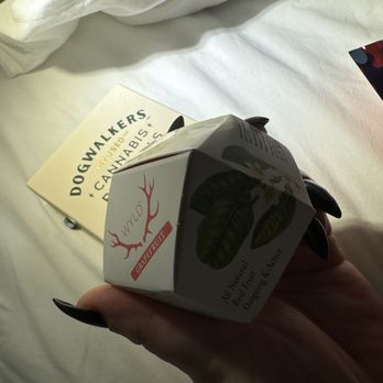 Grasshopper Club South Loop Chicago Dispensary - Not a great shot but these edibles were perfection. Such a great recommendation. - Cannabis Dispensaries Near Me - Chicago, Illinois Grasshopper Club South Loop Chicago Dispensary - Not a great shot but these edibles were perfection. Such a great recommendation. - Cannabis Dispensaries Near Me - Chicago, Illinois