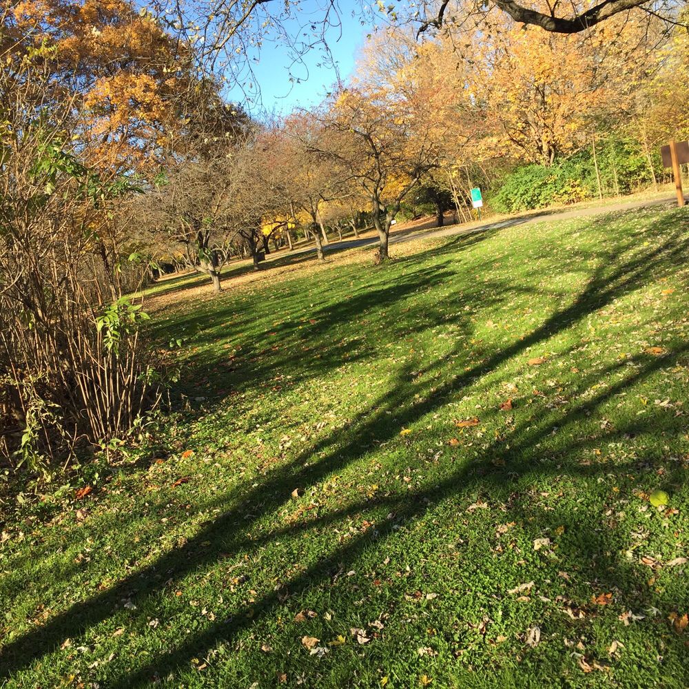 NORTHMOOR PARK Updated September 2024 3601 Olentangy Blvd, Columbus, Ohio Parks Yelp