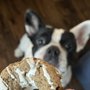 Photo of Parlor Doughnuts