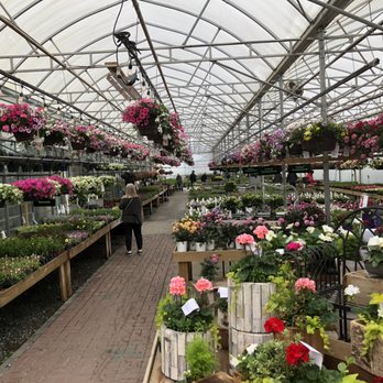 West Coast Gardens - Nurseries & Gardening Near Me - Surrey, British Columbia West Coast Gardens - Nurseries & Gardening Near Me - Surrey, British Columbia
