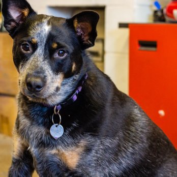 dons used cars topeka ks