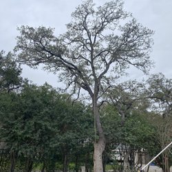 Sertich Tree Solutions