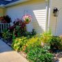Photo of Petitti Garden Centers