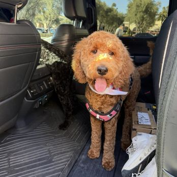 Petrichor Pet Salon - Pet Groomers Near Me - Irvine, California Petrichor Pet Salon - Pet Groomers Near Me - Irvine, California