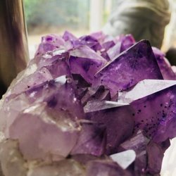 Moonflower - Psychics On Cape Cod - Moonflower Shop