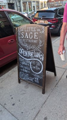 Little Sage by null