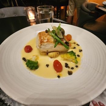 OLIVIA - Halibut - Italian Near Me - Tampa, Florida OLIVIA - Halibut - Italian Near Me - Tampa, Florida