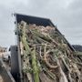 Photo of SD Junk Away