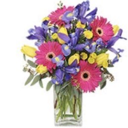 Photo from website.