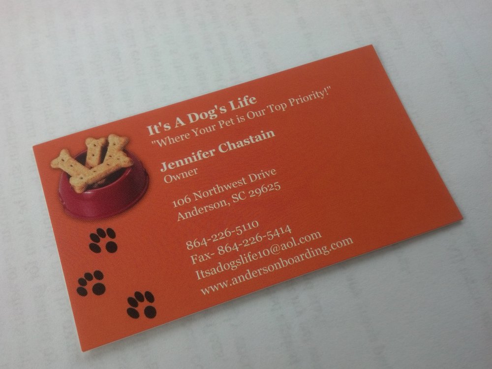 It's A Dogs Life Image