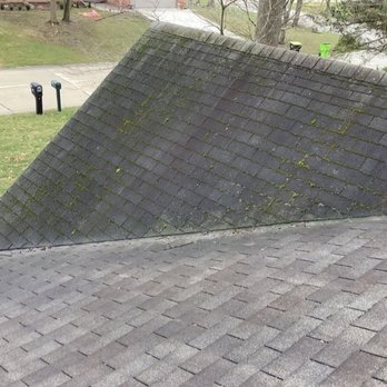 Billy's Roofing - More moss on old shingles - Roofing Near Me - Livonia, Michigan Billy's Roofing - More moss on old shingles - Roofing Near Me - Livonia, Michigan