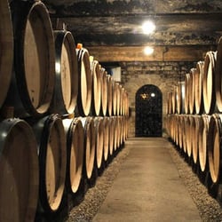 Bourgogne Gold Tour