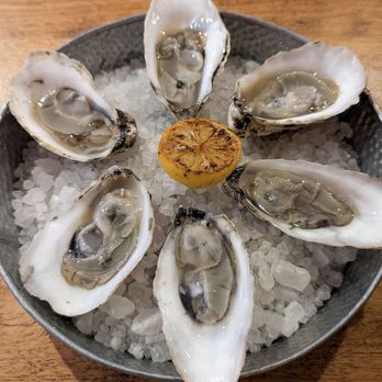Fishmonger's Honest Seafood - Perfect half dozen of Stump Sound oysters ($14) - Seafood Near Me - Holly Ridge, North Carolina Fishmonger's Honest Seafood - Perfect half dozen of Stump Sound oysters ($14) - Seafood Near Me - Holly Ridge, North Carolina