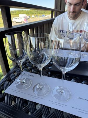 Macari Vineyards by null
