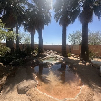 Posada by The Joshua Tree House - Vacation Rentals Near Me Posada by The Joshua Tree House - Vacation Rentals Near Me
