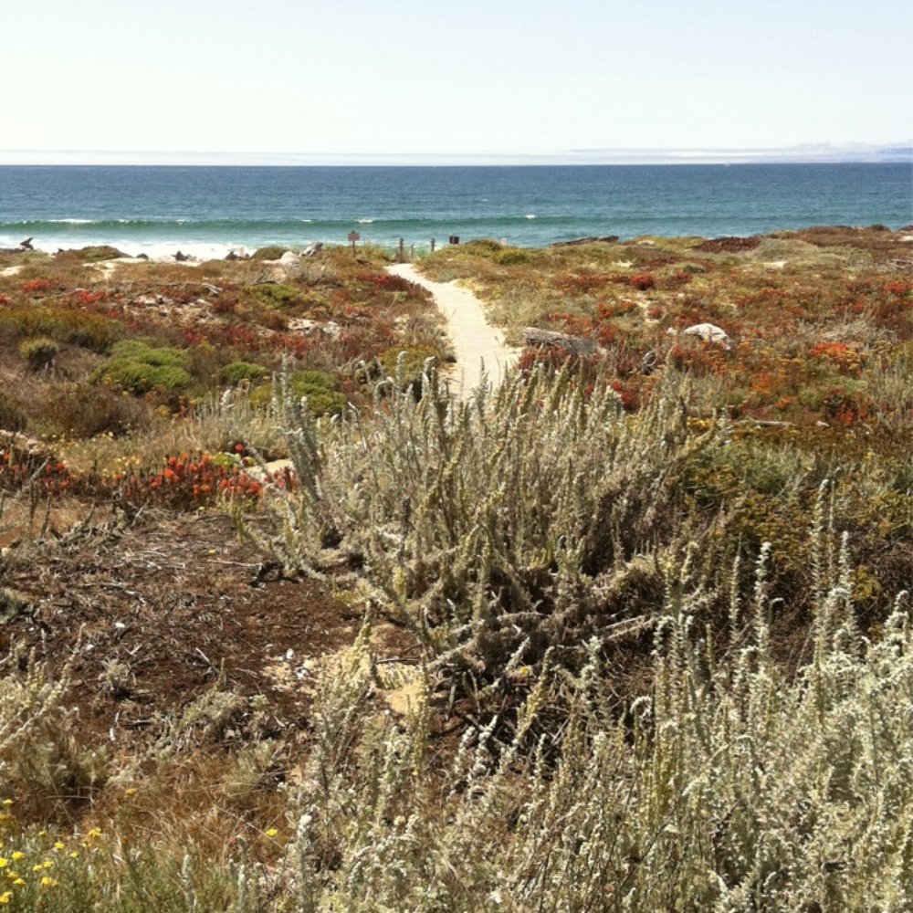 Monterey Dunes Colony - Vacation Rentals Near Me - Castroville, California