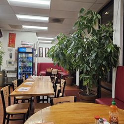 China Wok - Wow, what a money tree!