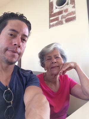 The Cafe at Shields by null