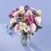 Paoli Florist gift card