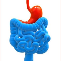 Hudson River Gastroenterology
