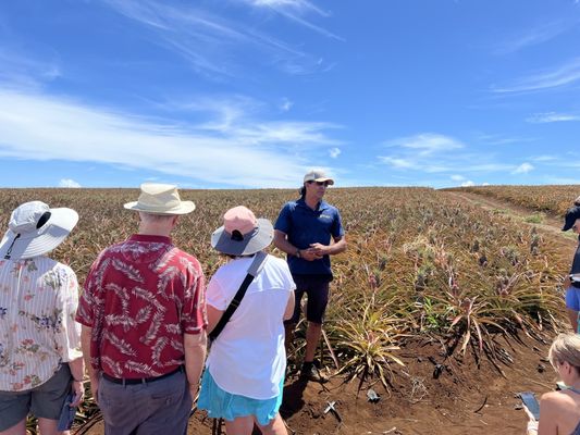 Maui Pineapple Tour by null