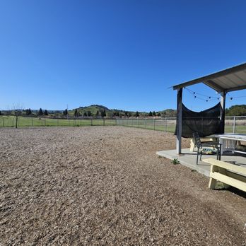 Centennial Park - Dog Parks Near Me - Vacaville, California Centennial Park - Dog Parks Near Me - Vacaville, California