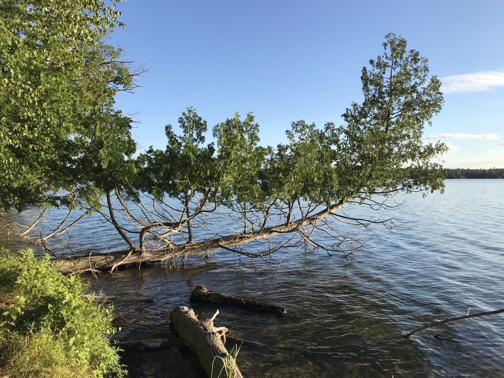 Mount Minnie Nature Preserve