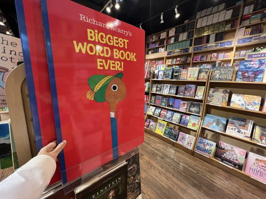 Books of Wonder by null