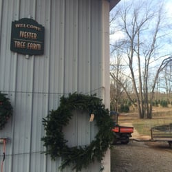 Ivester Tree Farm