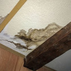 Boomtown Water Damage Experts