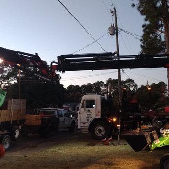 D's Trees - Tree Services Near Me - Pace, Florida