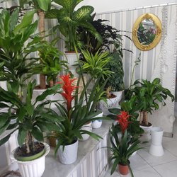 Flower Shop