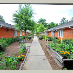 Chapters Living of Canton - Walking paths between residences at Chapters Living of Canton.
