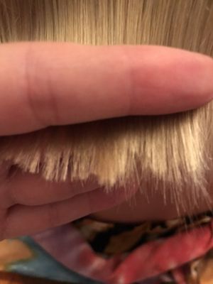 Supercuts 4510 Post St Ste 320 El Dorado Hills Ca Hair Salons Mapquest