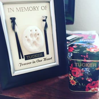 compassionate pet cremation