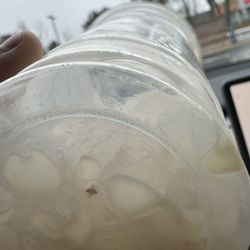 Starbucks - Iced chai latte