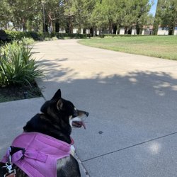 Woodbury Community Park