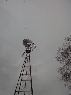Parque de la Quinta de los Molinos by null