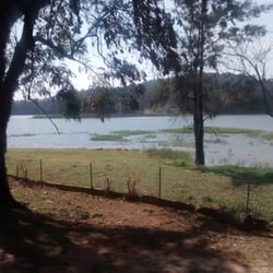 Parque da Cidade - Capivaras
