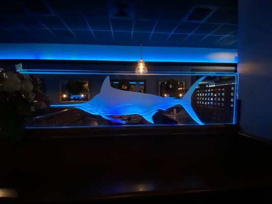 BLACK MARLIN - Updated March 2025 - 73 Photos & 135 Reviews - 53 W