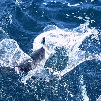 Jac's Mate Sportfishing - Boating Near Me Jac's Mate Sportfishing - Boating Near Me