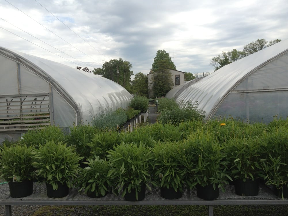 WILLIAMS GREENHOUSES & NURSERY CLOSED Updated August 2024 22 Reviews 45865 Maries Rd